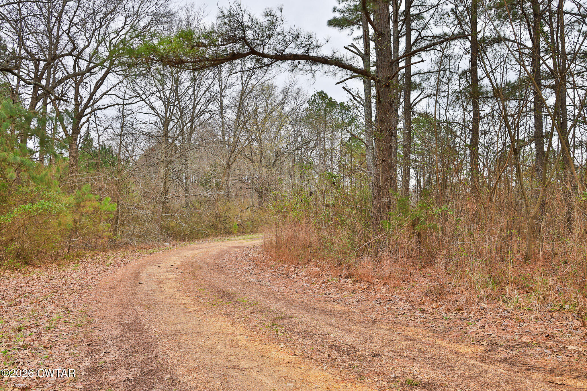 840 School Road Palmersville, TN 38241 - Photo 24 of 27 a view of backyard with green space