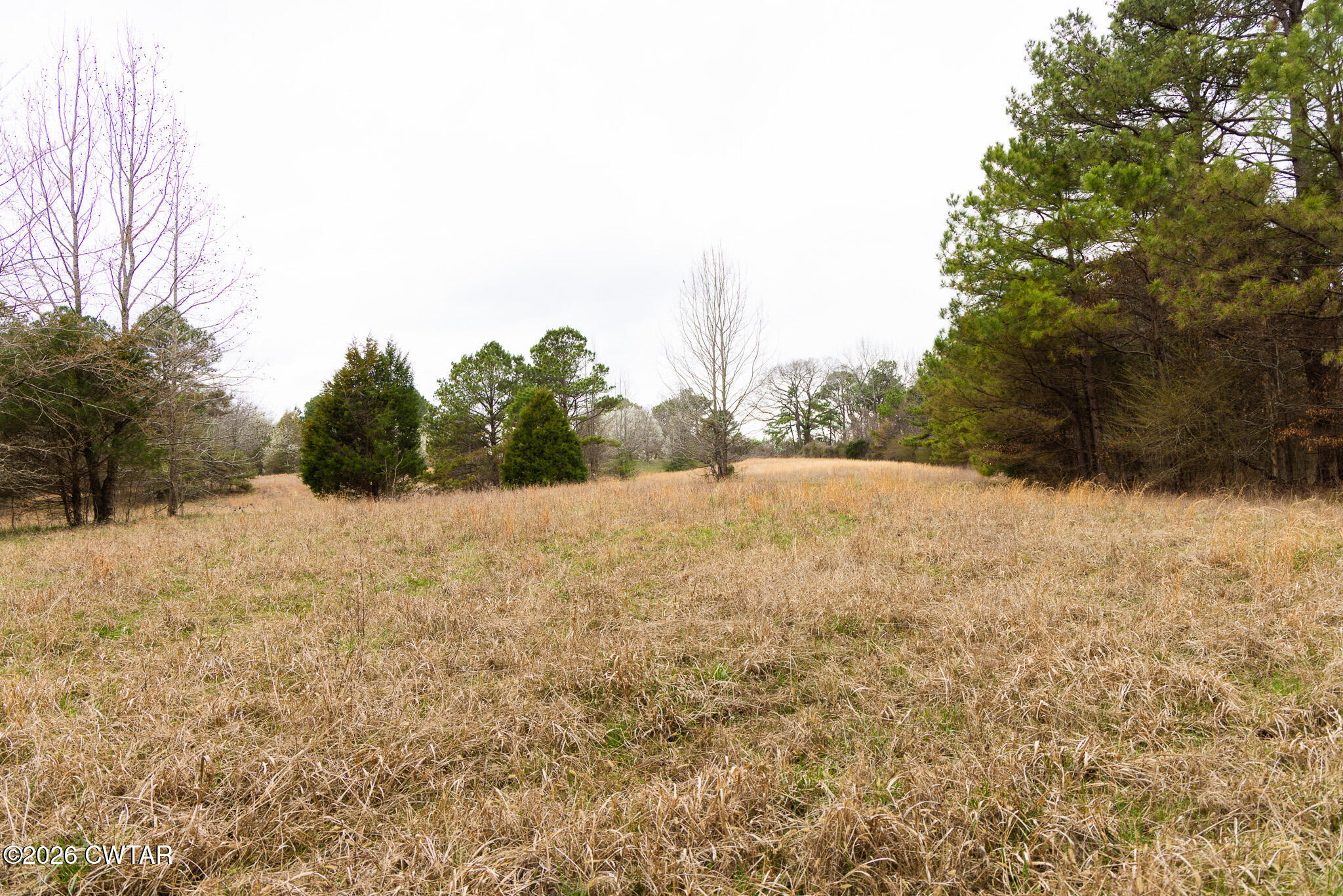 840 School Road Palmersville, TN 38241 - Photo 25 of 27 a view of mountain view with mountain view