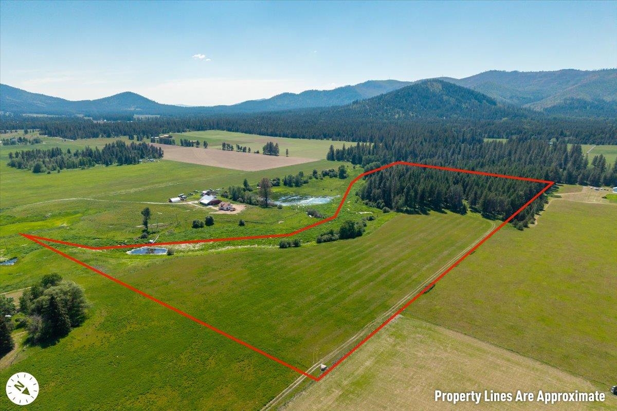 4668 Williams Valley Road Clayton, WA 99110 - Photo 2 of 44