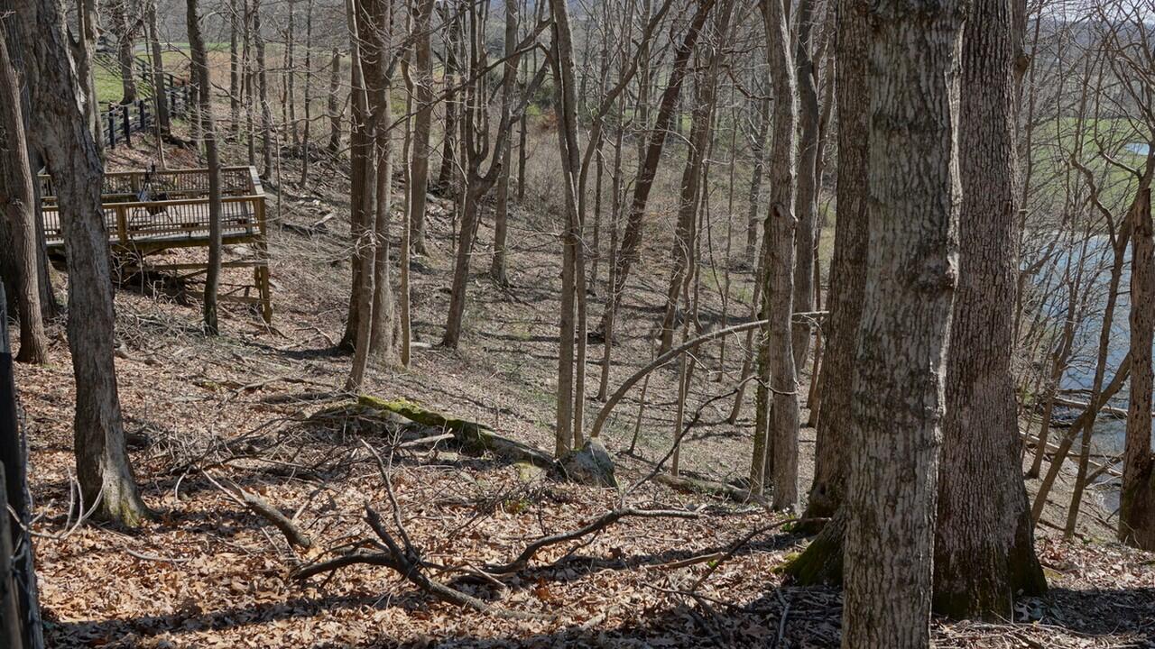 99 Little Creek Road Somerset, KY 42503 - Photo 35 of 60 DSC06336