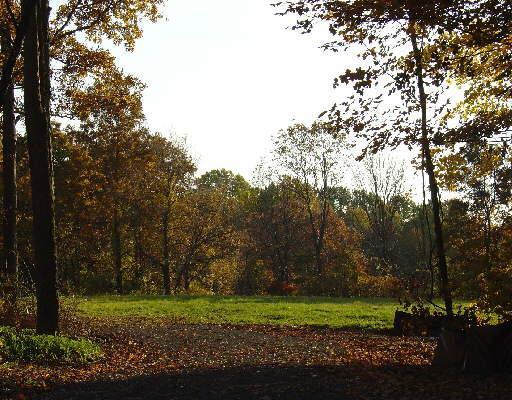 a view of a park
