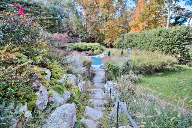 a view of a garden with plants and large trees