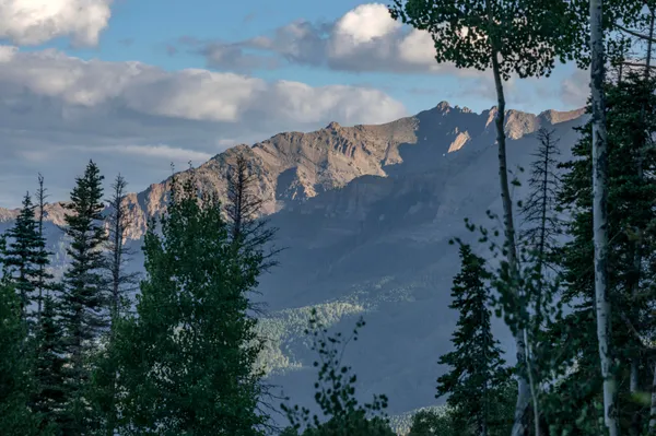 a view of a house with a mountain and a forest