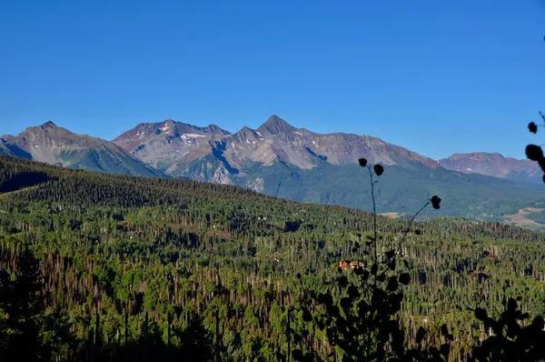 a view of a dry yard with mountains in the background