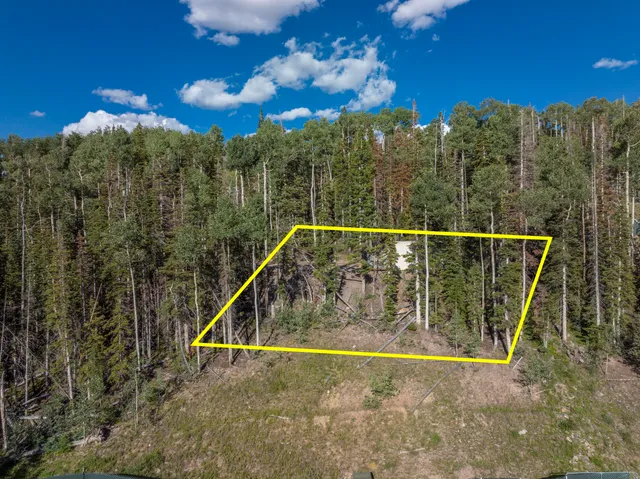 $3,975,000 | 18 La Sal Ln Mountain Village, Telluride, CO 81435