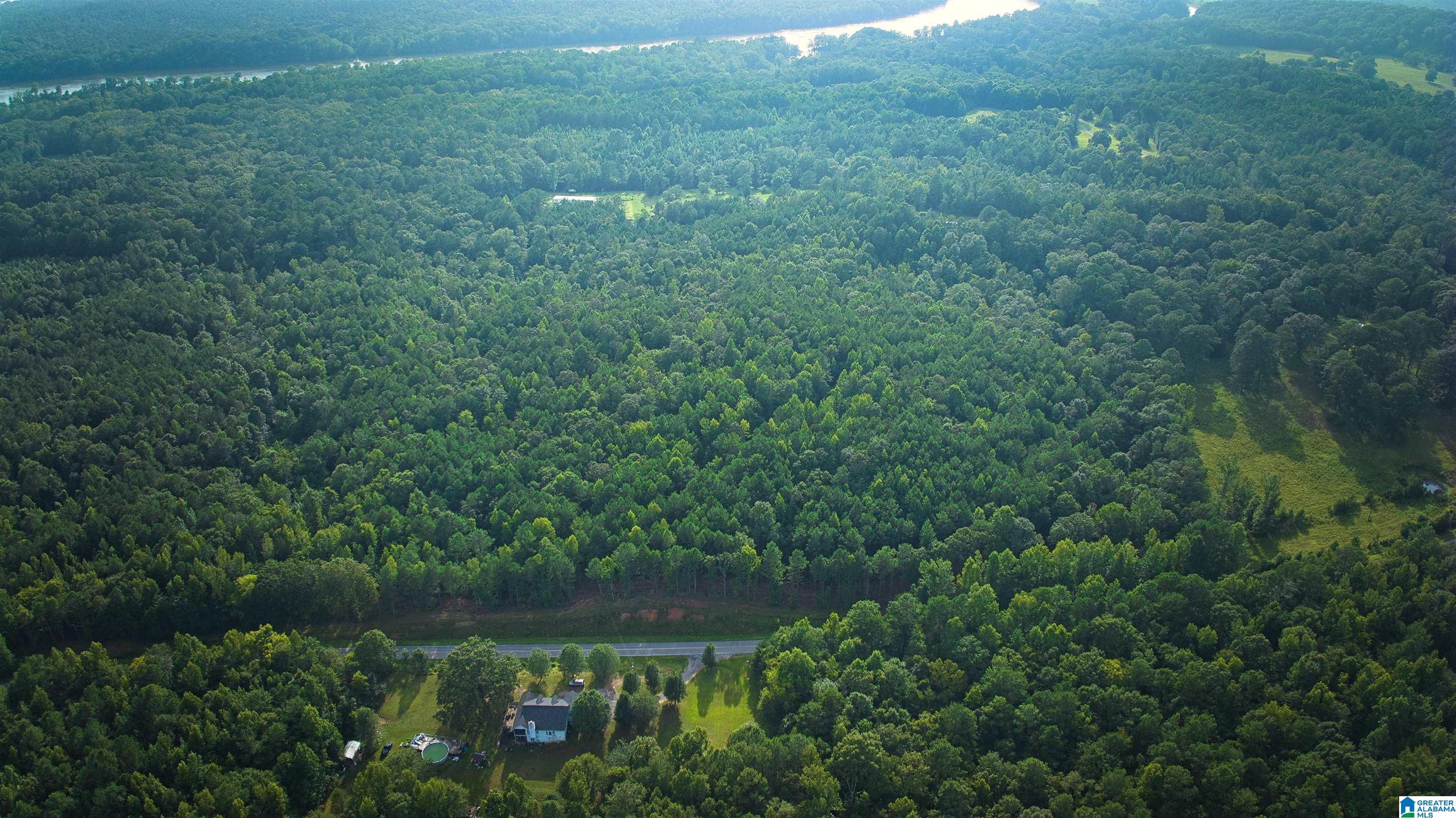 Lot 20 Wester Road, Unit LOT 20 Ragland, AL 35131 - Photo 50 of 68