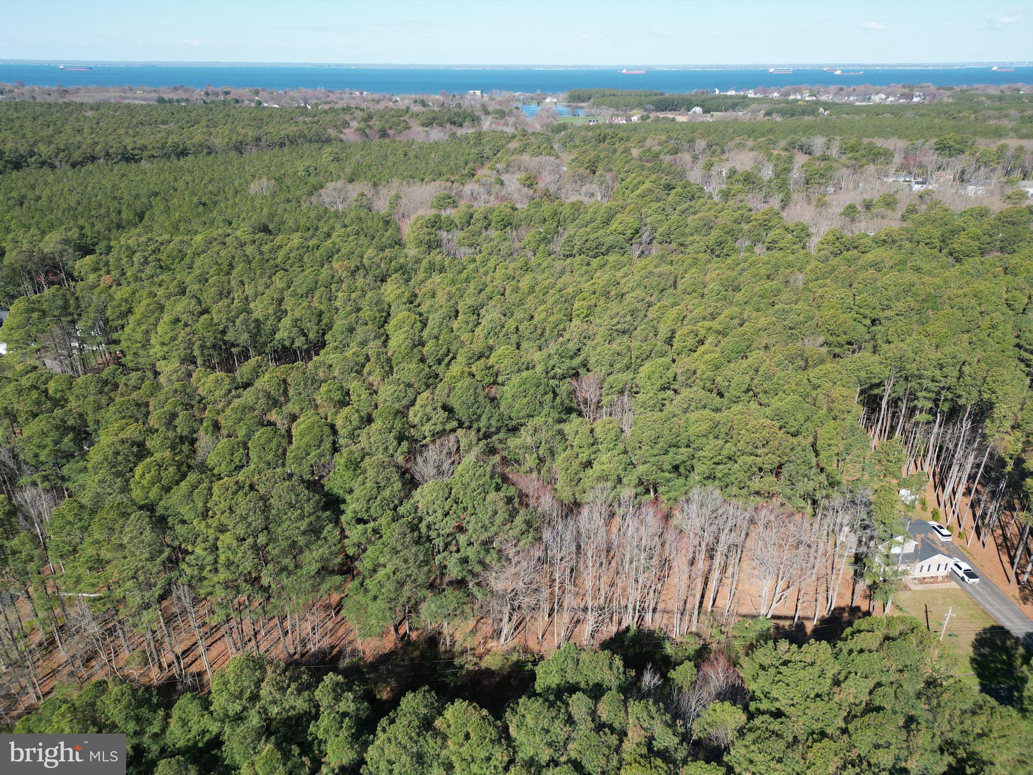 138 Olive Branch Road Stevensville, MD 21666 - Photo 11 of 11