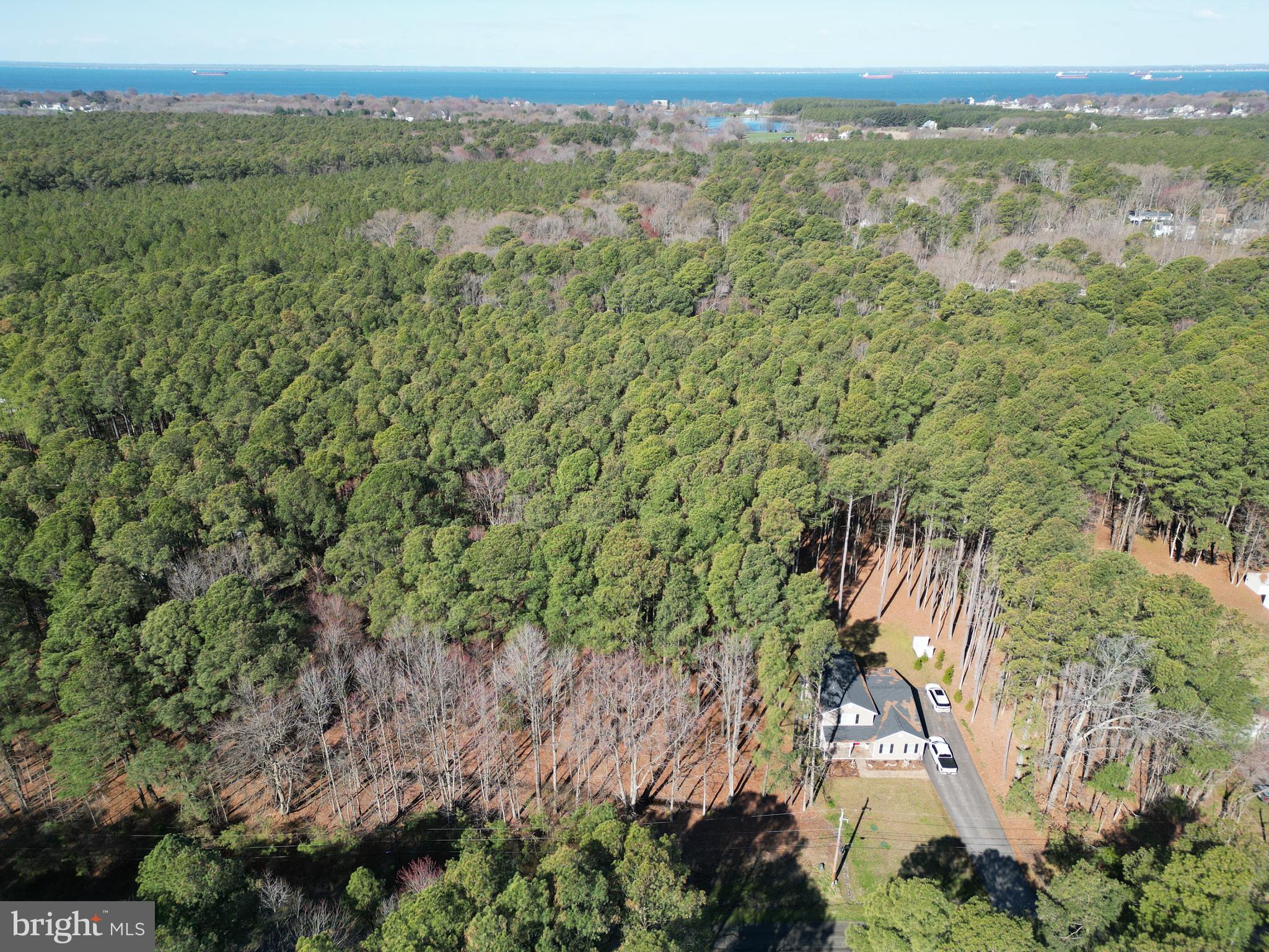 138 Olive Branch Road Stevensville, MD 21666 - Photo 3 of 11