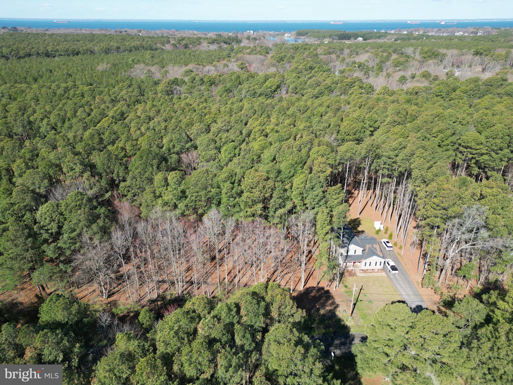 138 Olive Branch Road Stevensville, MD 21666 - Photo 6 of 12 a view of a forest with an outdoor space