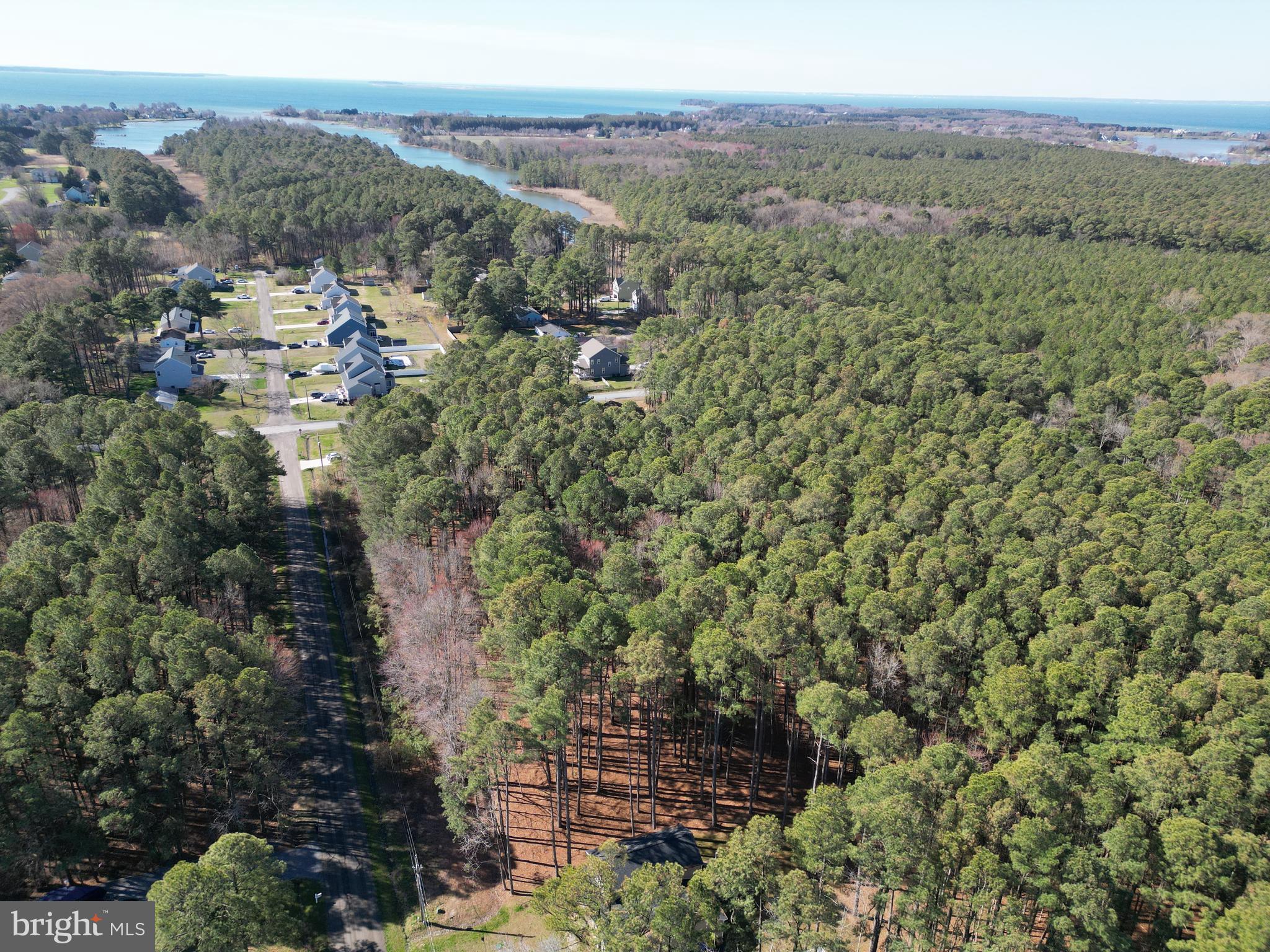 138 Olive Branch Road Stevensville, MD 21666 - Photo 6 of 11