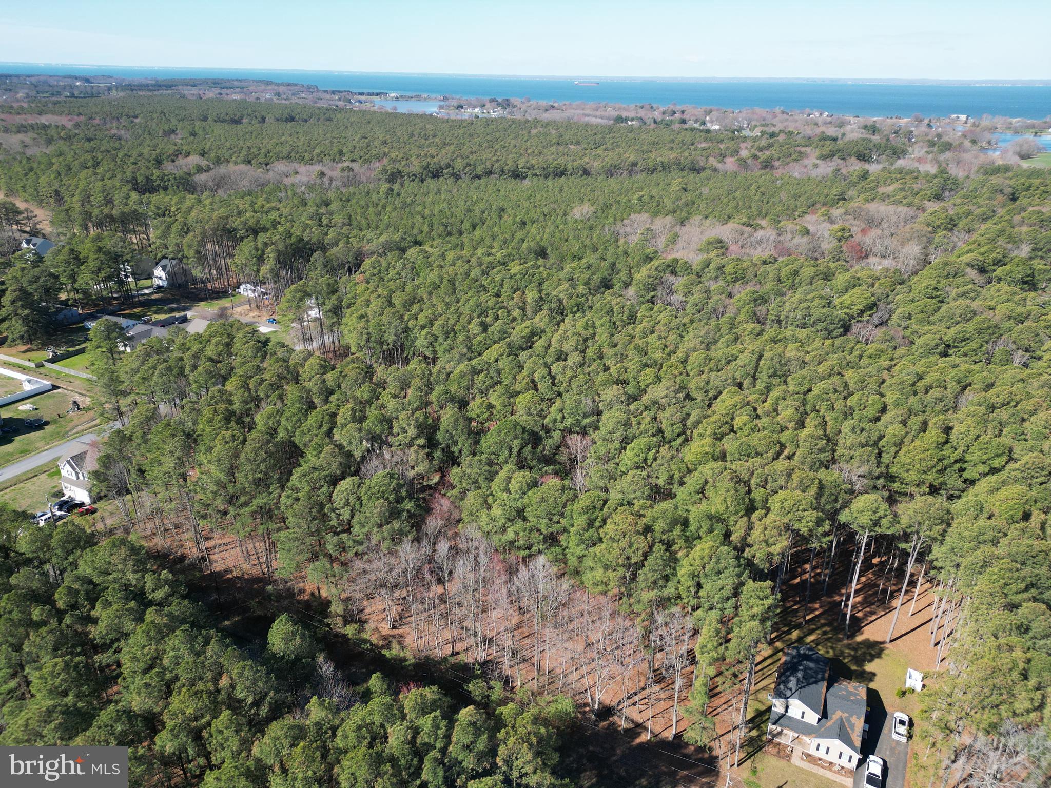 138 Olive Branch Road Stevensville, MD 21666 - Photo 9 of 12 a view of a city with lush green forest