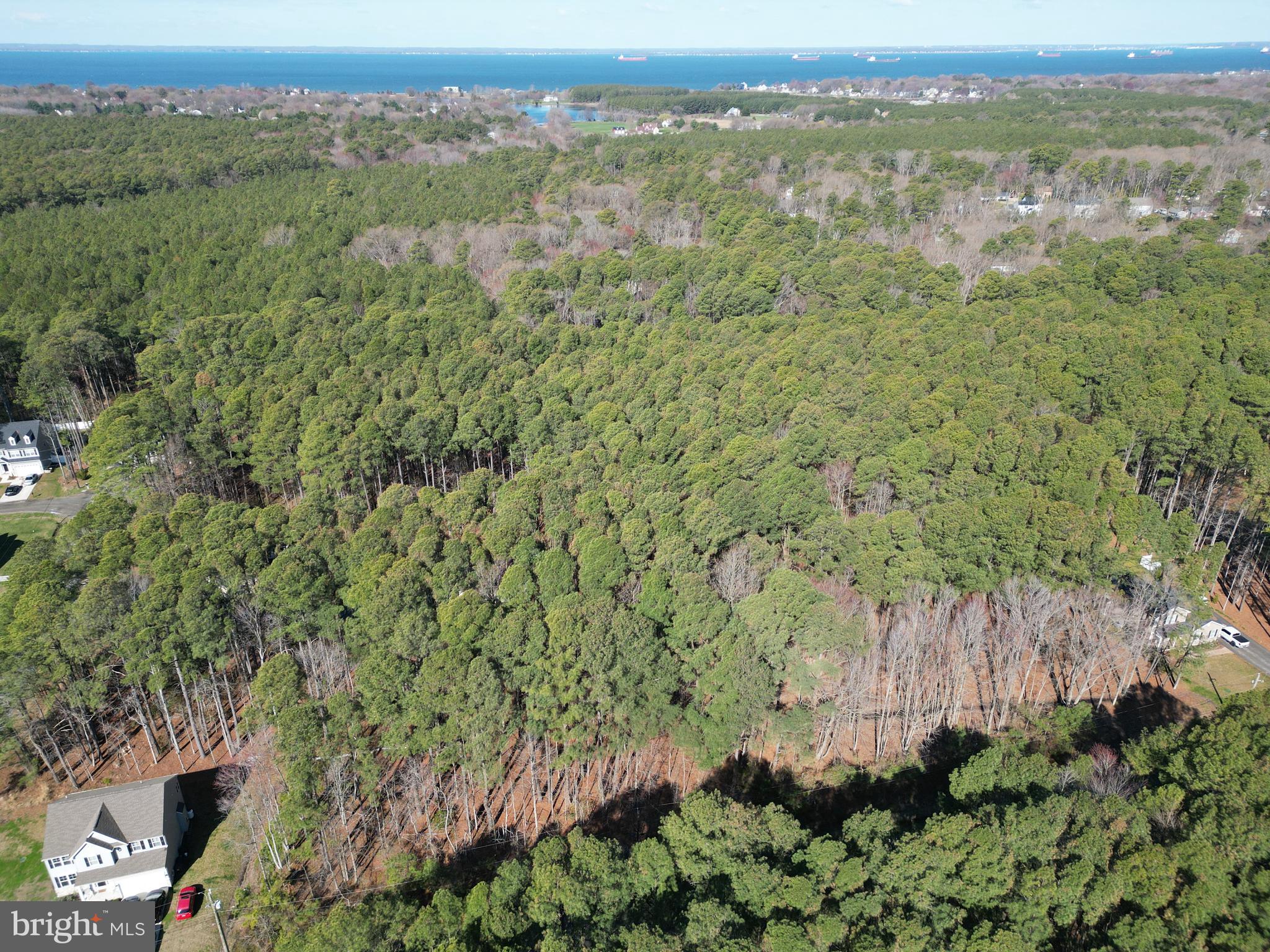 138 Olive Branch Road Stevensville, MD 21666 - Photo 10 of 11