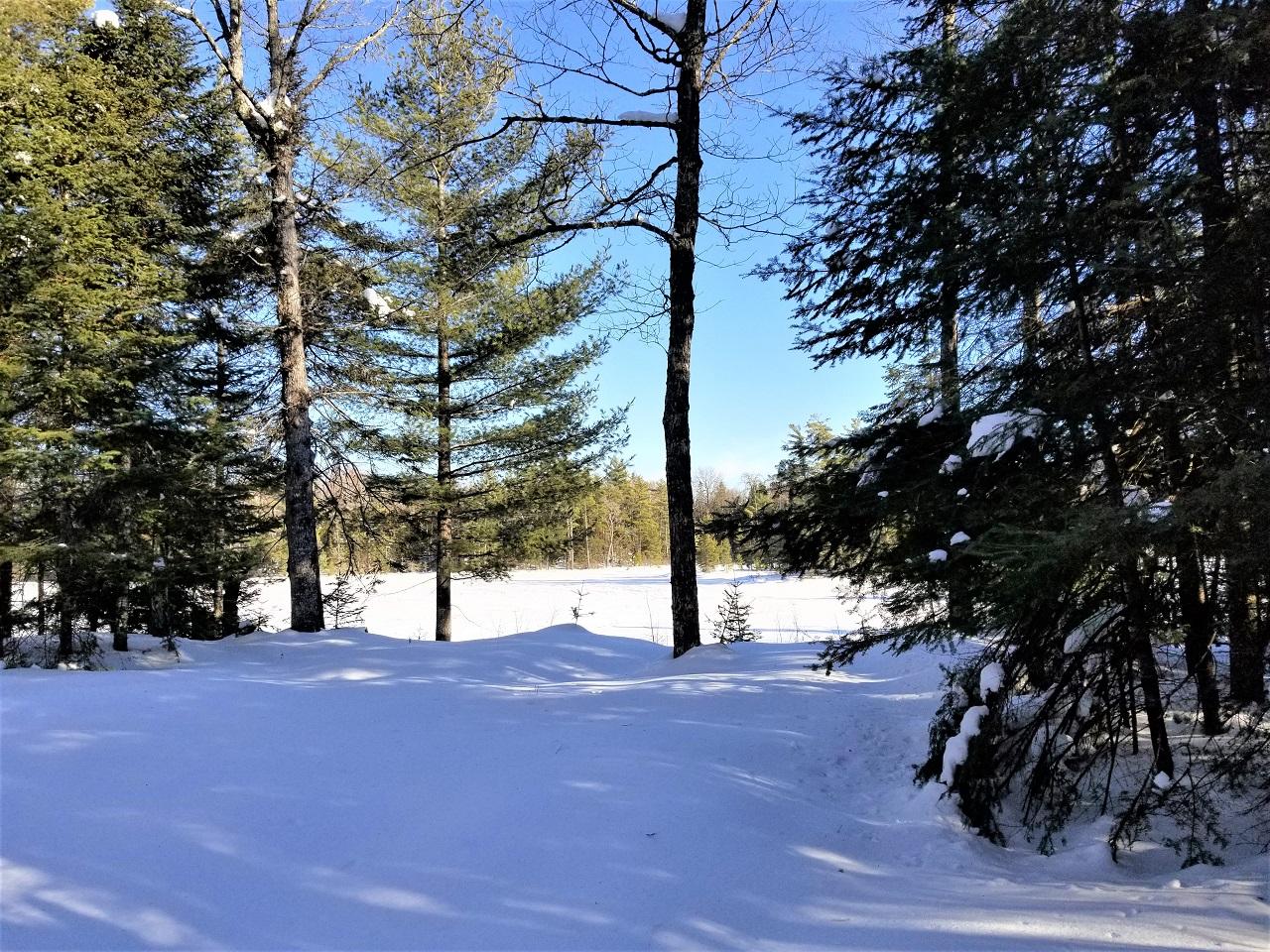 6959 West Blue Heron Ridge Road Mercer, WI 54547 - Photo 3 of 21 Gallery Image 3