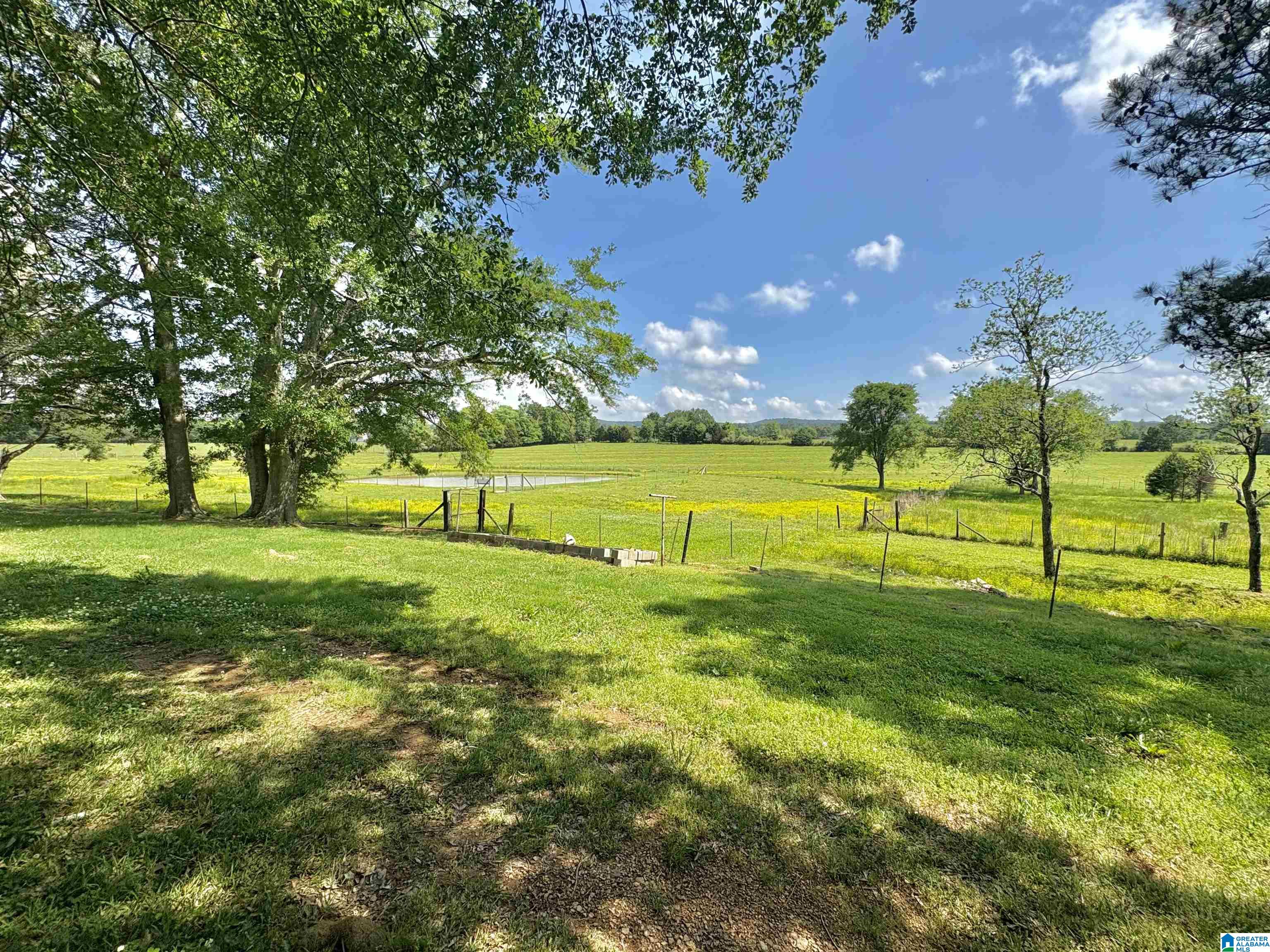 1372 Highway 33 Oneonta Al Oneonta, AL 35121 - Photo 7 of 27