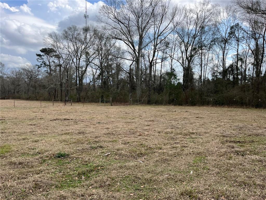 55660 Mashon Road Independence, LA 70443 - Photo 1 of 8 Gallery Image 1