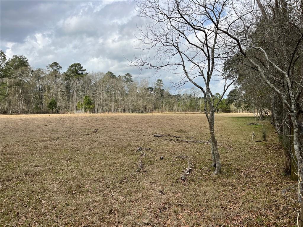 55660 Mashon Road Independence, LA 70443 - Photo 6 of 8 Gallery Image 6