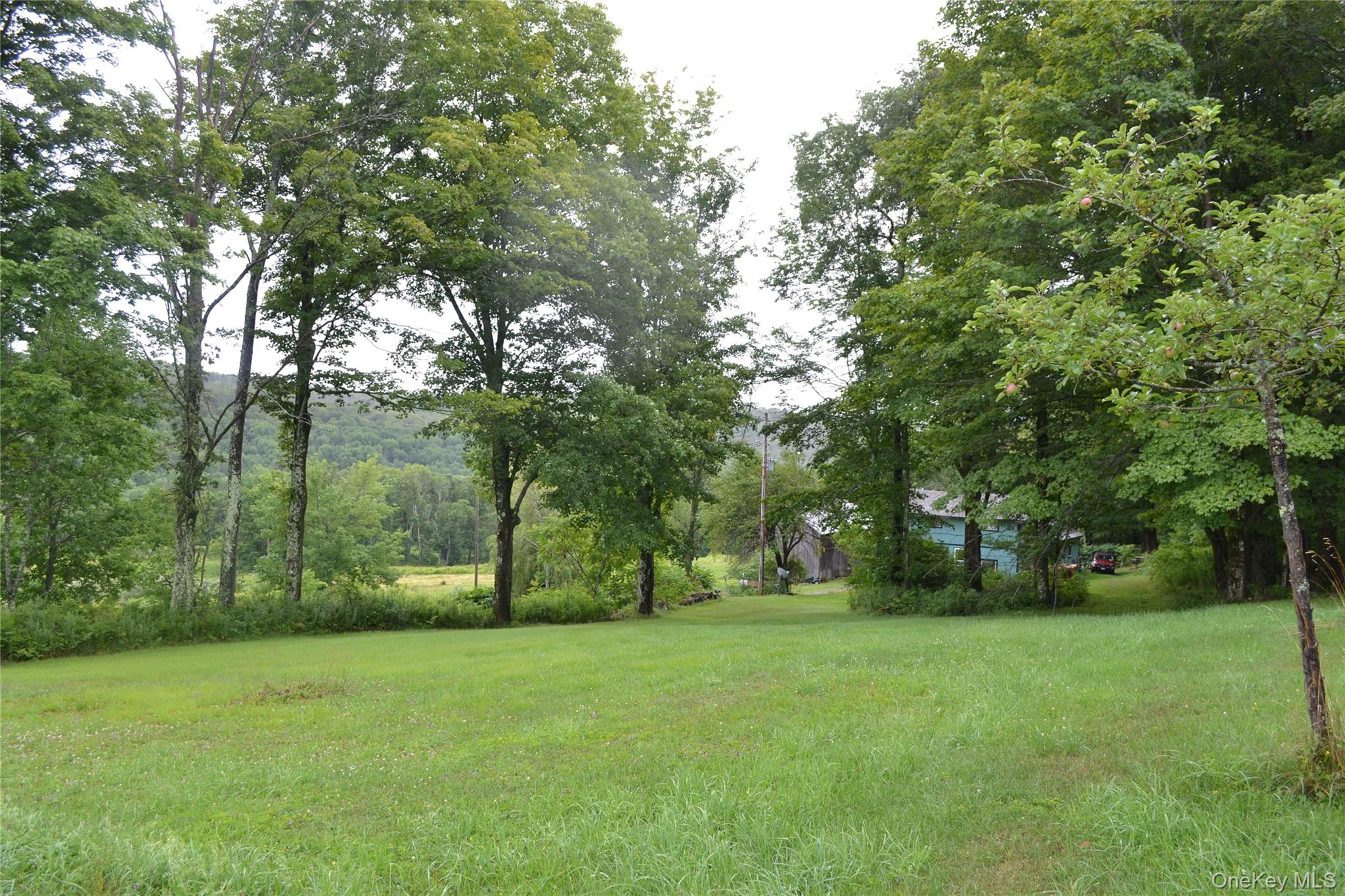 833 Biffar Road Long Eddy, NY 12760 - Photo 28 of 36 Manicured side yard