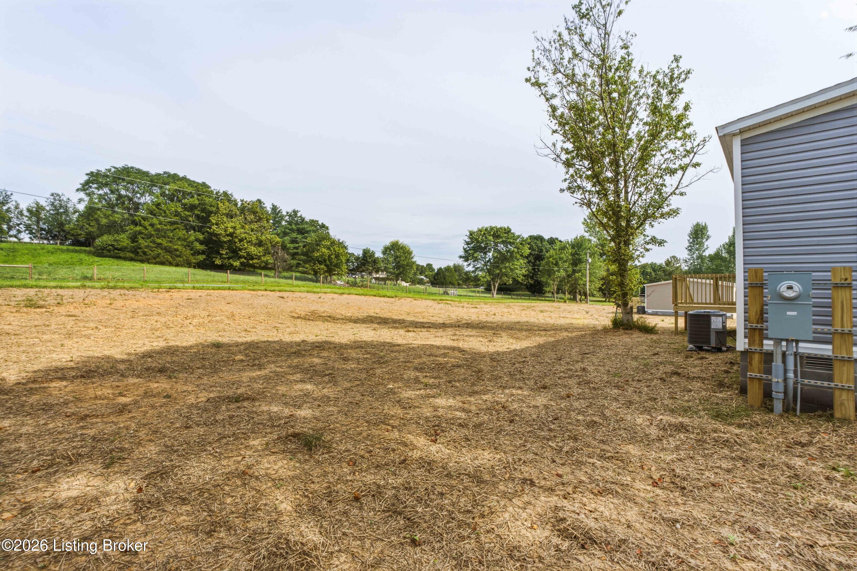 2437 Fallen Timber Road Campbellsville, KY 42718 - Photo 45 of 48 17_Main_Home_Side_Yard_2