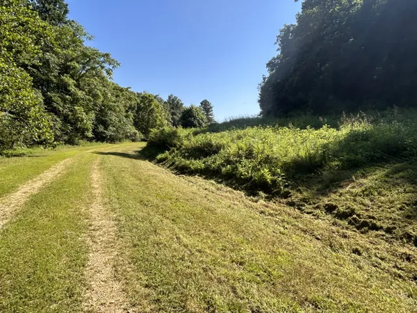 a view of outdoor space and green field