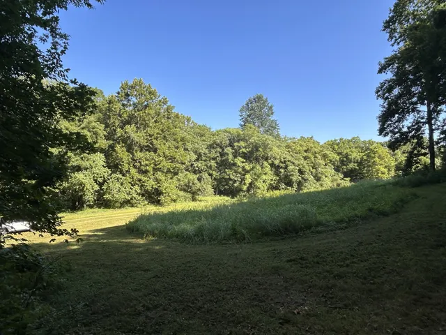 a view of a green field with lots of bushes