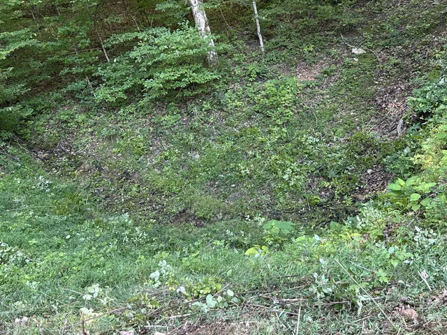 a view of an ocean and beach
