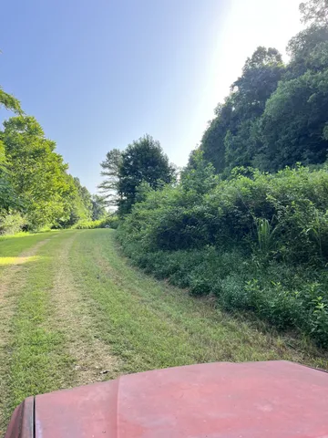 a view of a lake from a yard