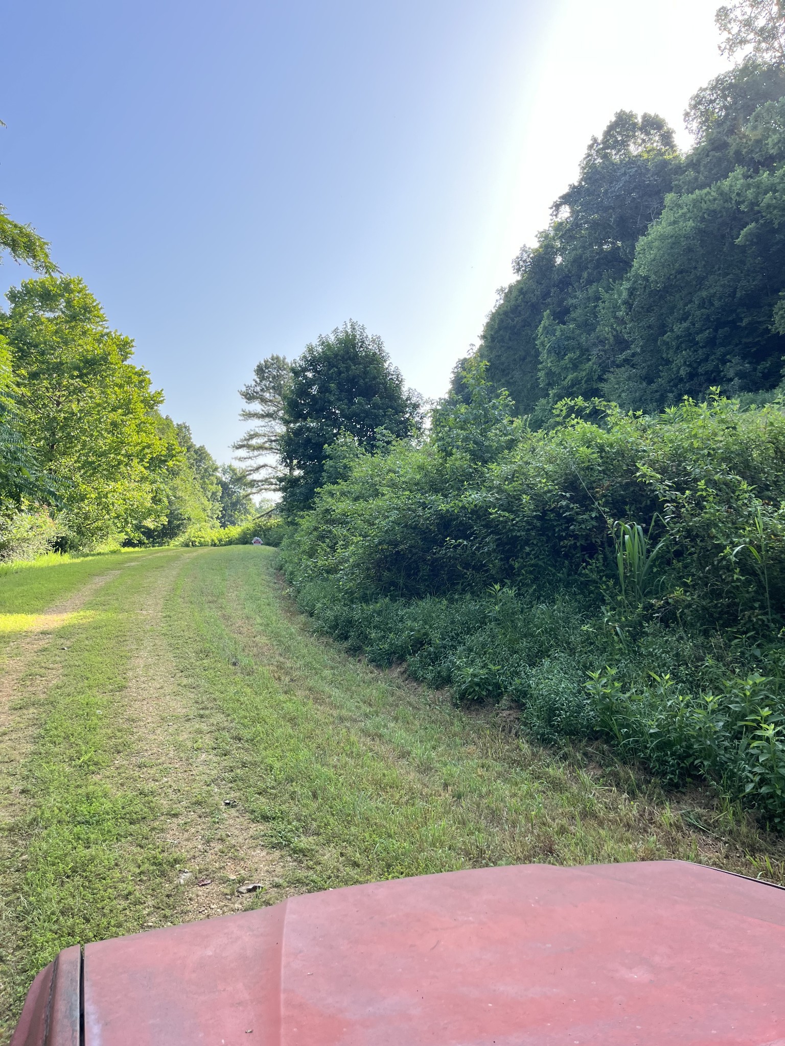 0 East Cave Spring Road Pulaski, TN 38478 - Photo 2 of 93