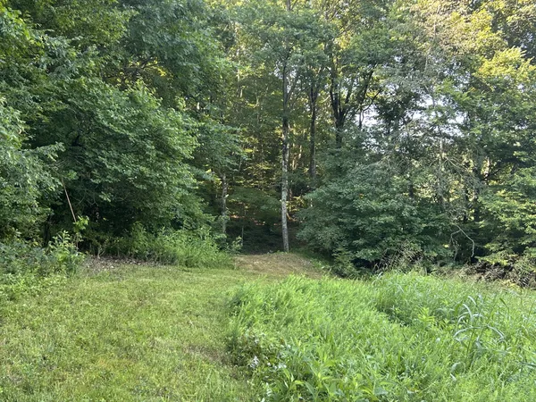 a view of a field of grass and trees