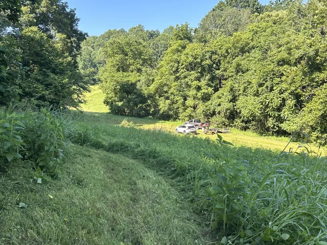 a view of a green field with lots of bushes