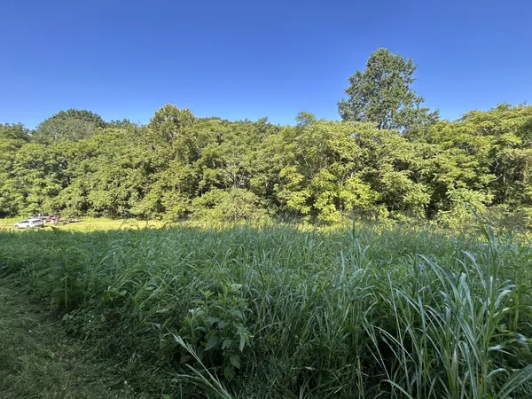 a view of a city and lush green forest