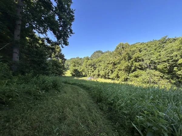 a view of a green field with lots of bushes