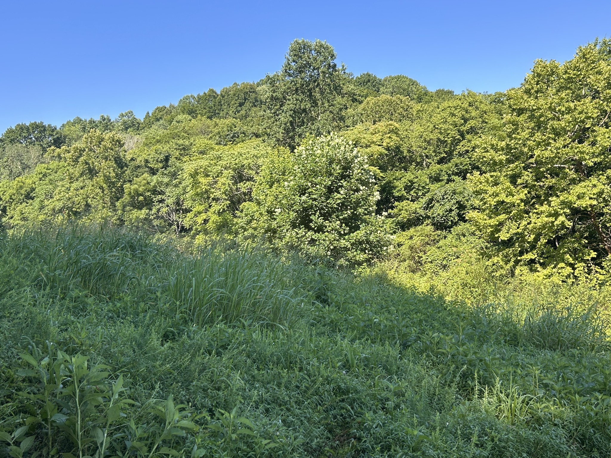 0 East Cave Spring Road Pulaski, TN 38478 - Photo 30 of 93