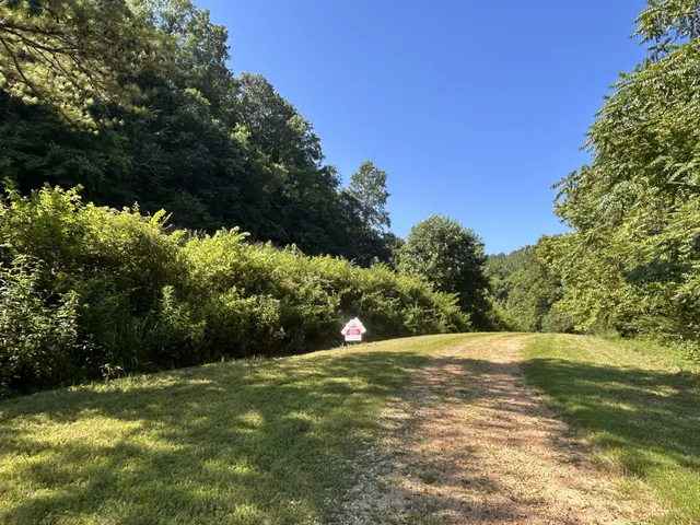 a view of outdoor space with green field and trees all around