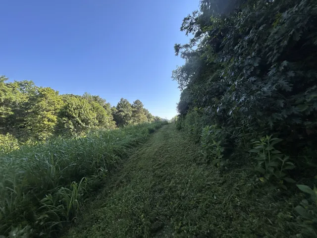a backyard of a house with lots of trees