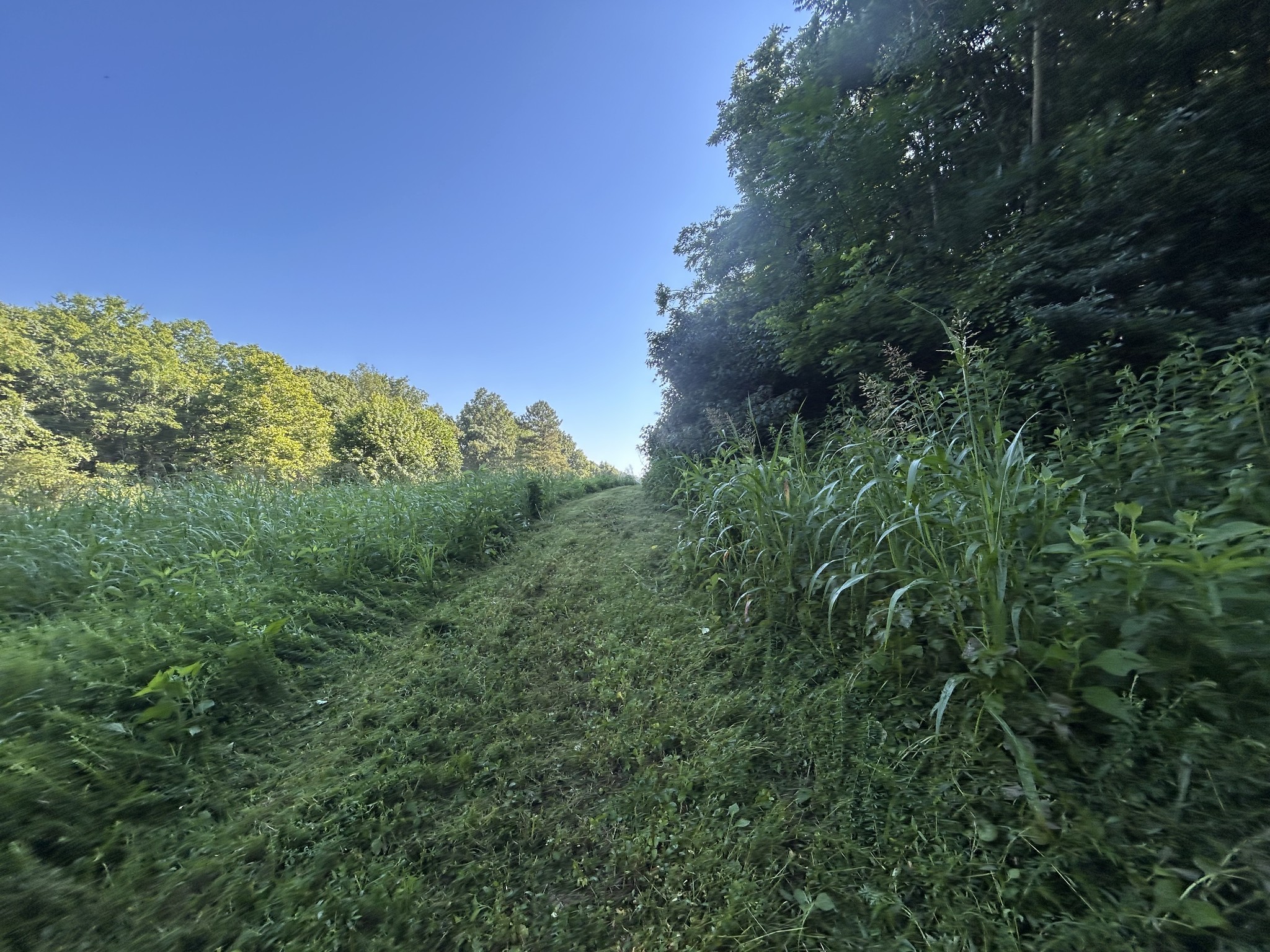 0 East Cave Spring Road Pulaski, TN 38478 - Photo 40 of 93