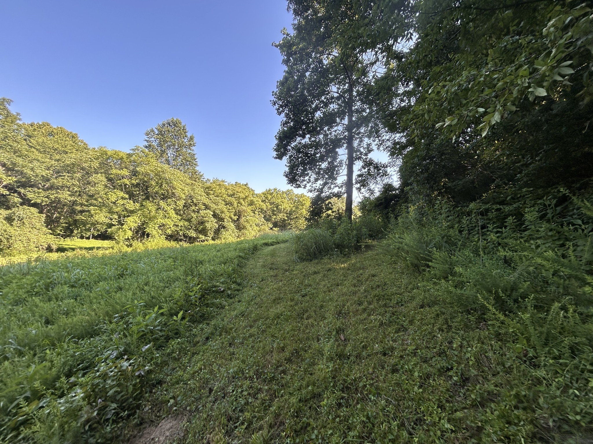 0 East Cave Spring Road Pulaski, TN 38478 - Photo 44 of 93