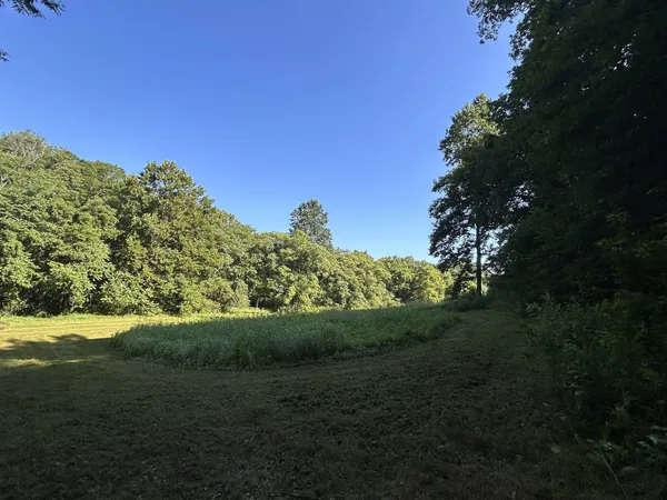 a view of backyard with green space