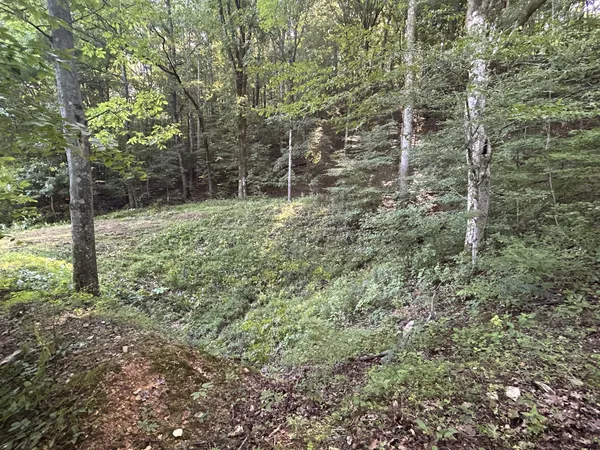 a view of yard with large trees and wooden fence