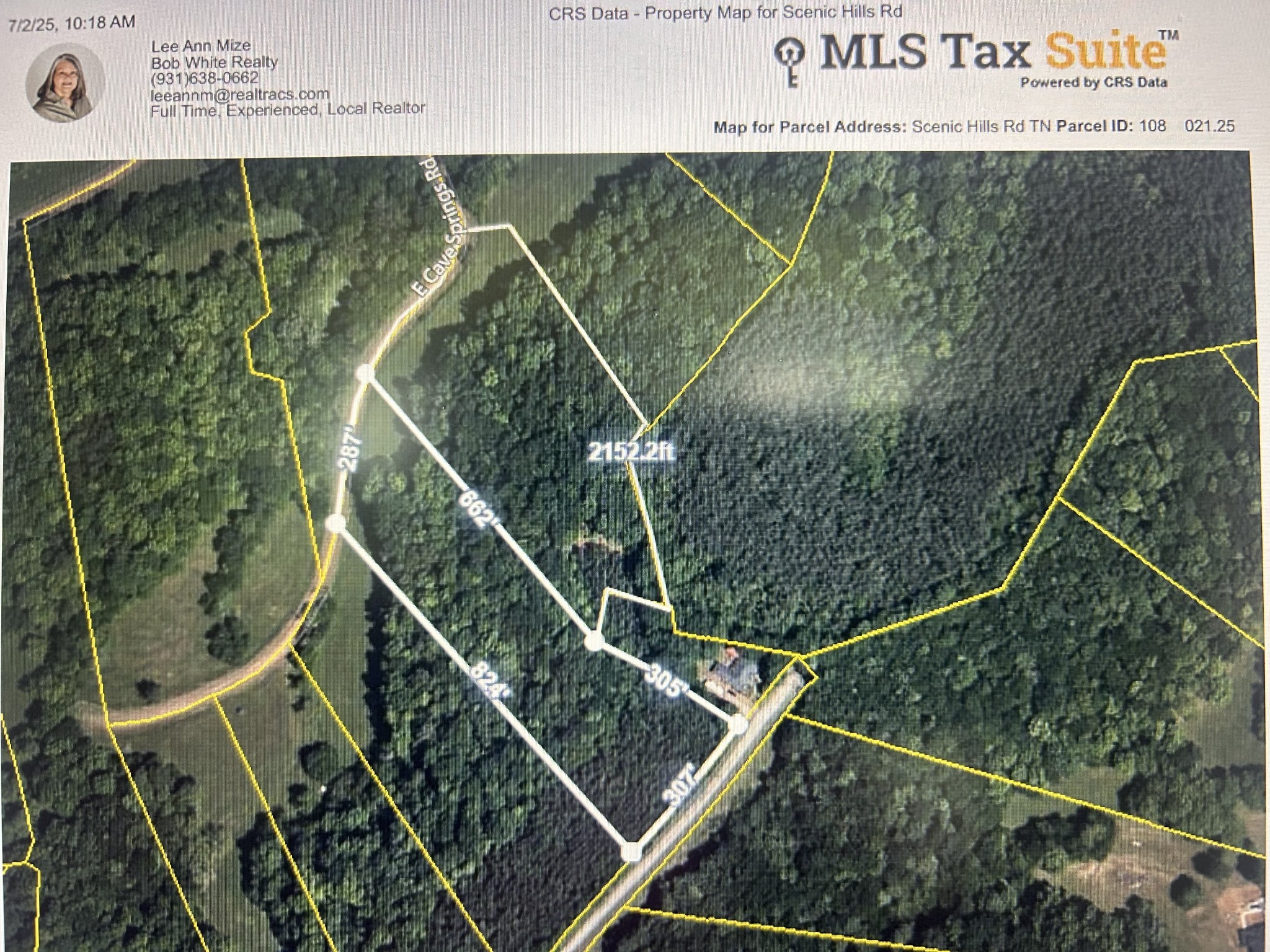 0 East Cave Spring Road Pulaski, TN 38478 - Photo 5 of 93