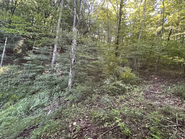 $167,500 | 0 East Cave Spring Road, Pulaski, TN 38478