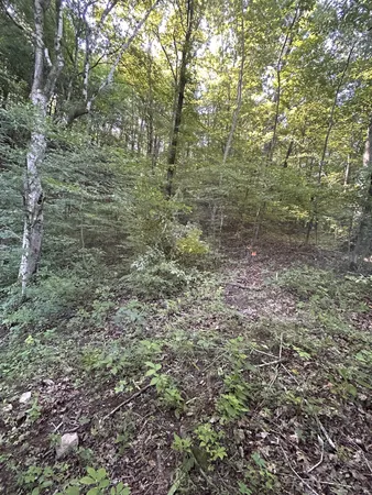 $167,500 | 0 East Cave Spring Road, Pulaski, TN 38478