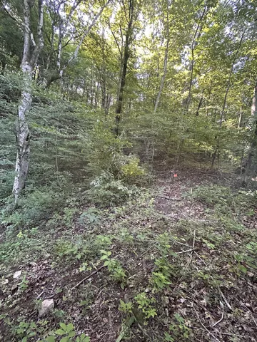 $167,500 | 0 East Cave Spring Road, Pulaski, TN 38478