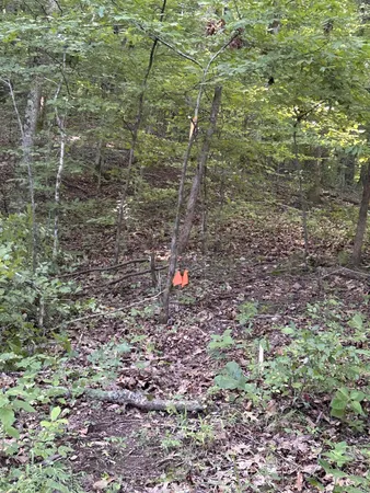 $167,500 | 0 East Cave Spring Road, Pulaski, TN 38478