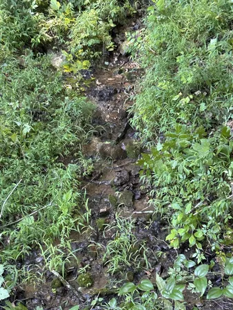 $167,500 | 0 East Cave Spring Road, Pulaski, TN 38478