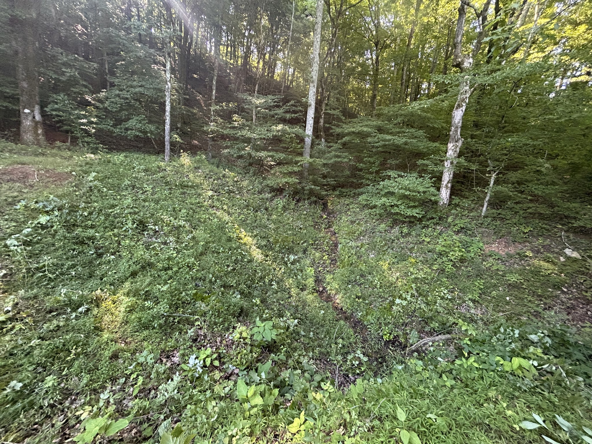 0 East Cave Spring Road Pulaski, TN 38478 - Photo 57 of 93