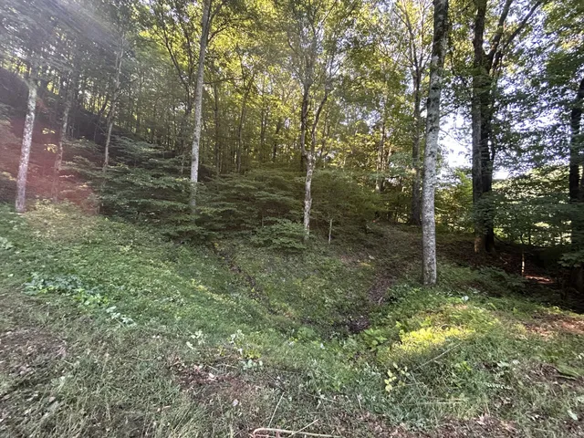 $167,500 | 0 East Cave Spring Road, Pulaski, TN 38478