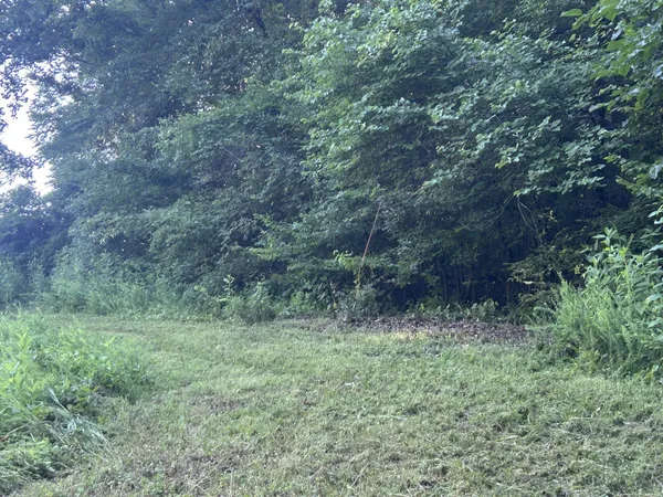 $167,500 | 0 East Cave Spring Road, Pulaski, TN 38478