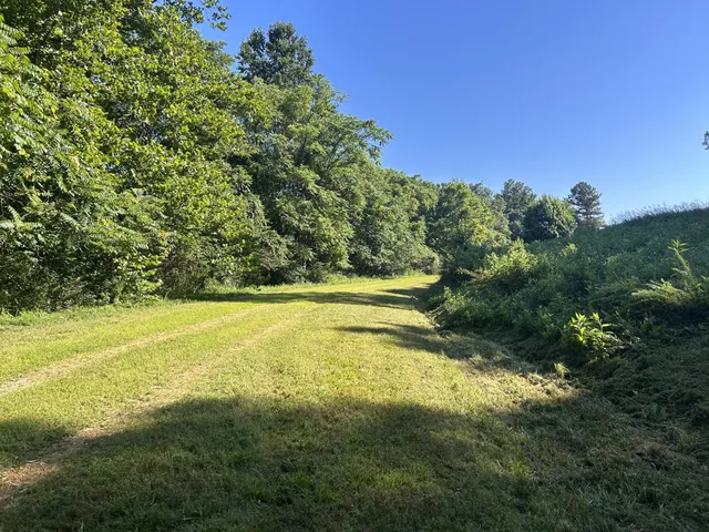 $167,500 | 0 East Cave Spring Road, Pulaski, TN 38478