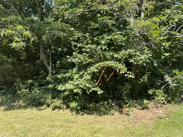 $167,500 | 0 East Cave Spring Road, Pulaski, TN 38478