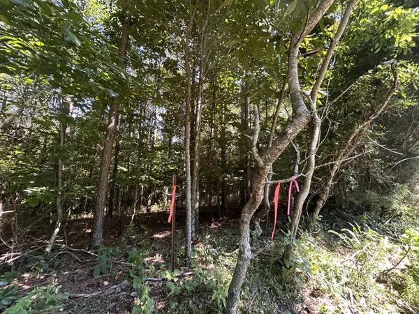 $167,500 | 0 East Cave Spring Road, Pulaski, TN 38478